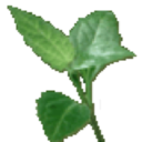 Kratom Country discount code